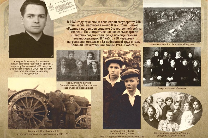 Нерехта тыловая Нерехта тыловая