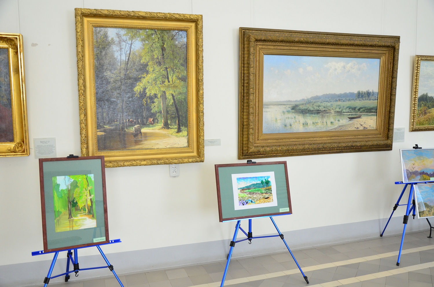 В Романовском музее открылась инклюзивная выставка "Искусство видеть"
