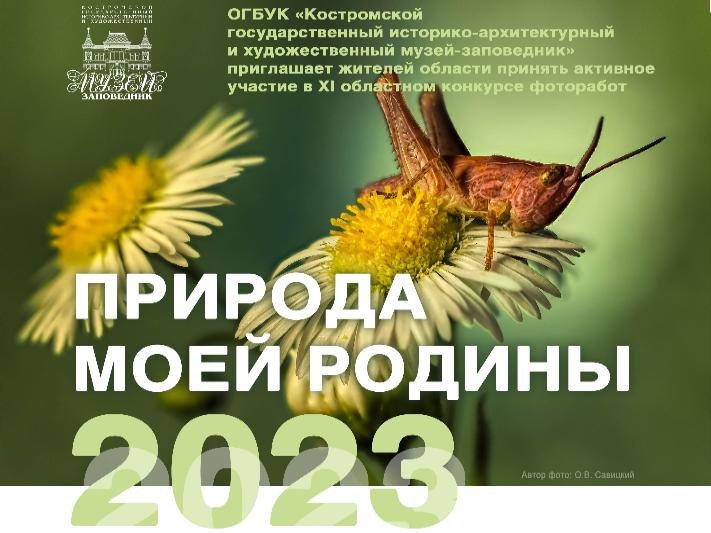 XI конкурс фоторабот «Природа моей Родины» XI конкурс фоторабот «Природа моей Родины»