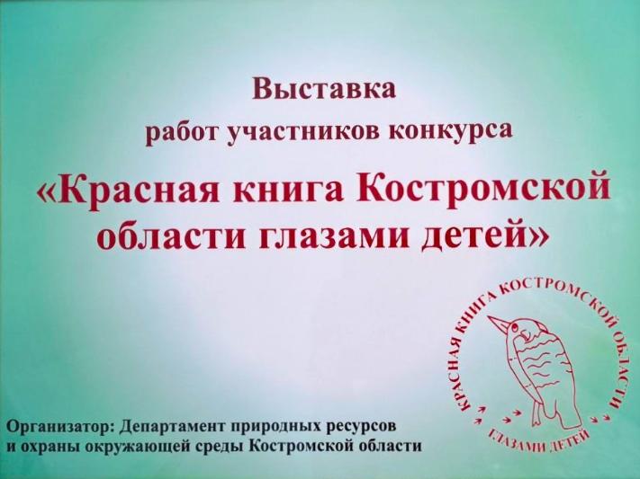В Костромском музее-заповеднике открылась выставка «Красная книга Костромской области глазами детей» В Костромском музее-заповеднике открылась выставка «Красная книга Костромской области глазами детей»
