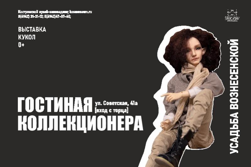 Гостиная коллекционера. Выставка кукол Гостиная коллекционера. Выставка кукол