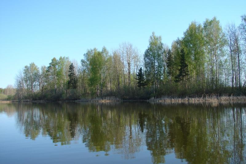 Кострома заповедная