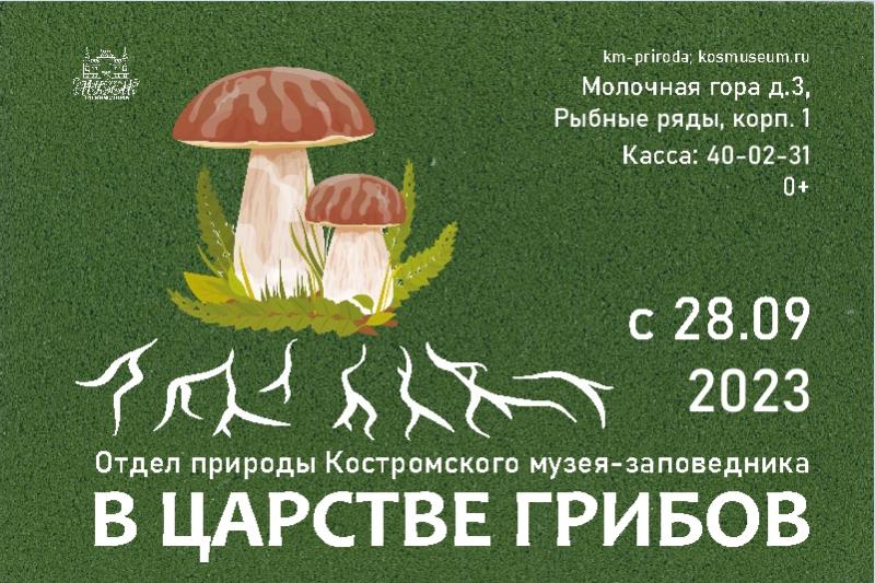 В царстве грибов В царстве грибов