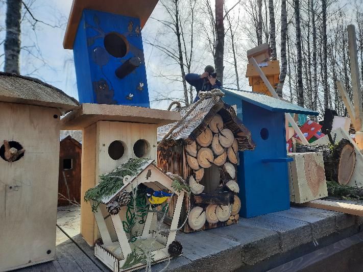 Итоги областного конкурса «Птичья слобода»